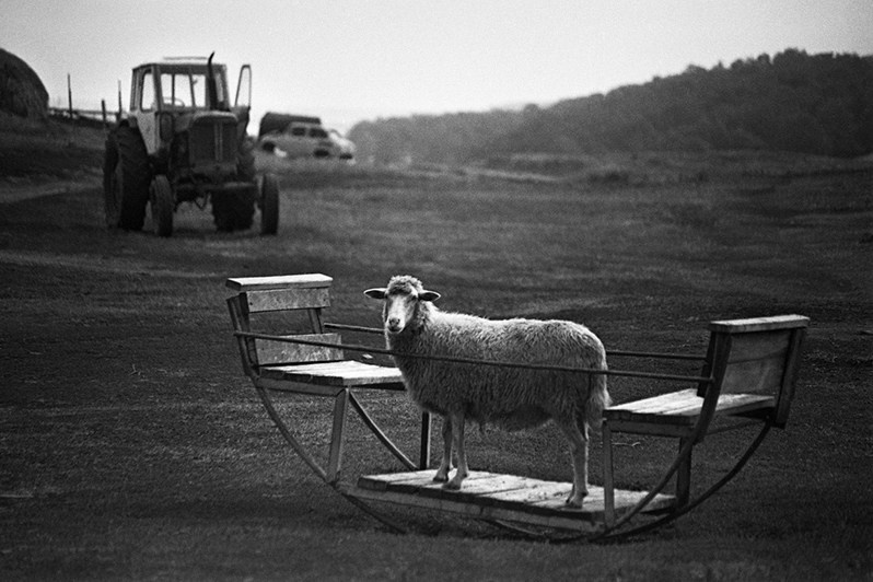 And Quiet Flows the Volga / Evgene Kanaev. Misha Maslennikov. Documentary photography. Odessa