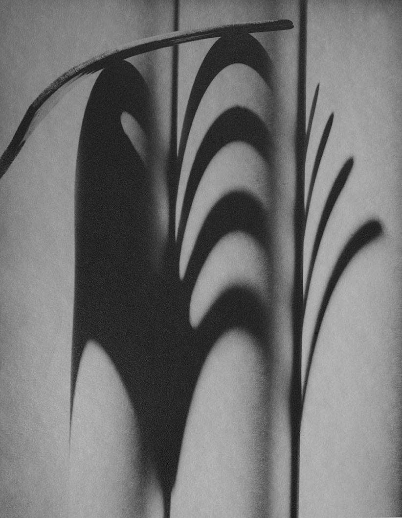 PhotoTOP Still Life 2022. Миша Масленников. Документальная фотография. Одесса