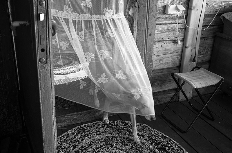 The Lightness of Being / Pavel Hanchar. Misha Maslennikov. Documentary photography. Odessa