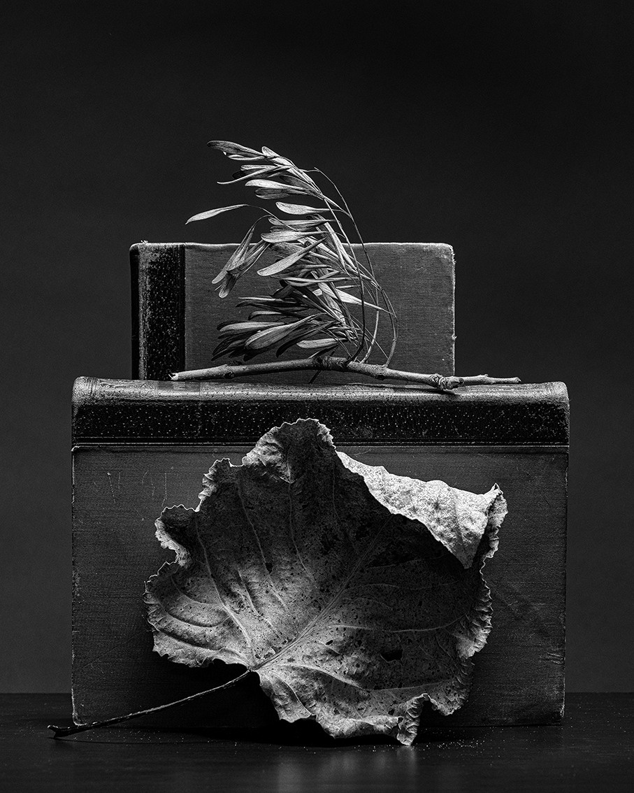 PhotoTOP Still Life 2022. Миша Масленников. Документальная фотография. Одесса