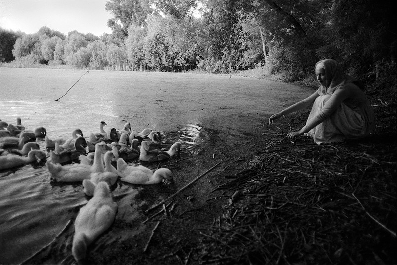 "The girl with the geese", village of Poteryaevka, Mamontovo district, Altai territory, Russia, July 2008