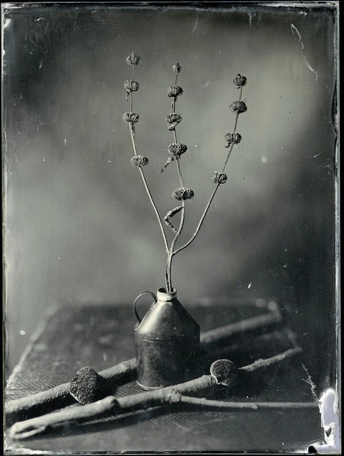 PhotoTOP Still Life 2022. Миша Масленников. Документальная фотография. Одесса