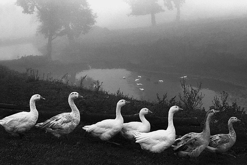 And Quiet Flows the Volga / Evgene Kanaev. Misha Maslennikov. Documentary photography. Odessa