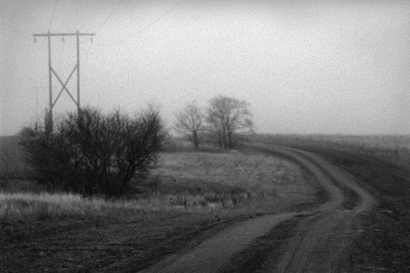 Interview with Polar Bear / Misha Maslennikov. Misha Maslennikov. Documentary photography. Odessa