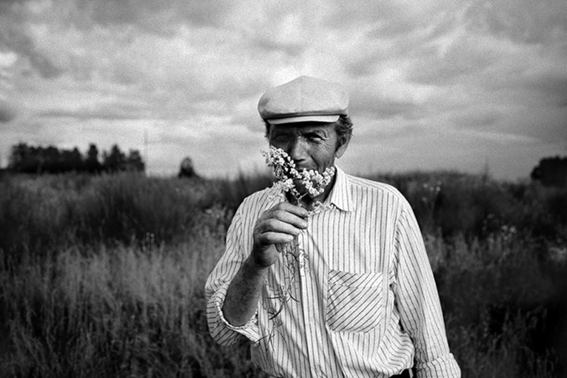 © Татьяна Плотникова