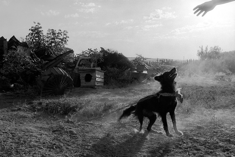 "Hand", farm of Senshin, village of Oblivskaya district, Rostov-on-Don region, Russia, July 2010