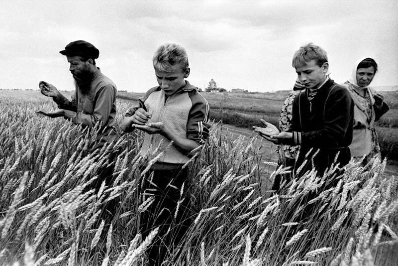 © Александр Волобуев