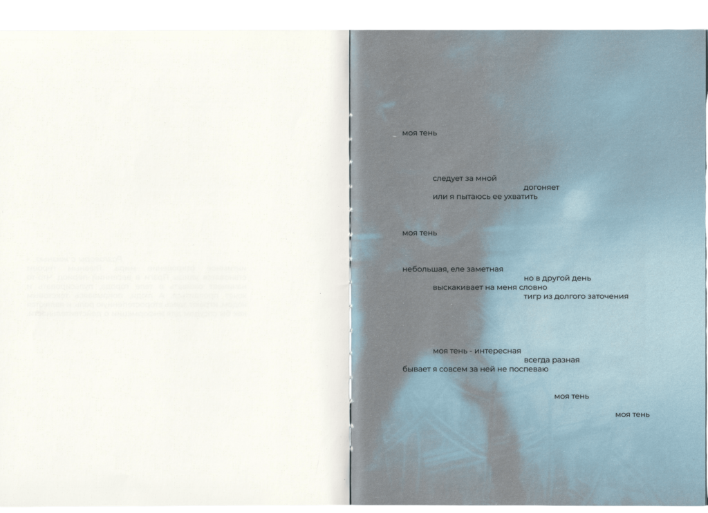 A diary of visual poetry