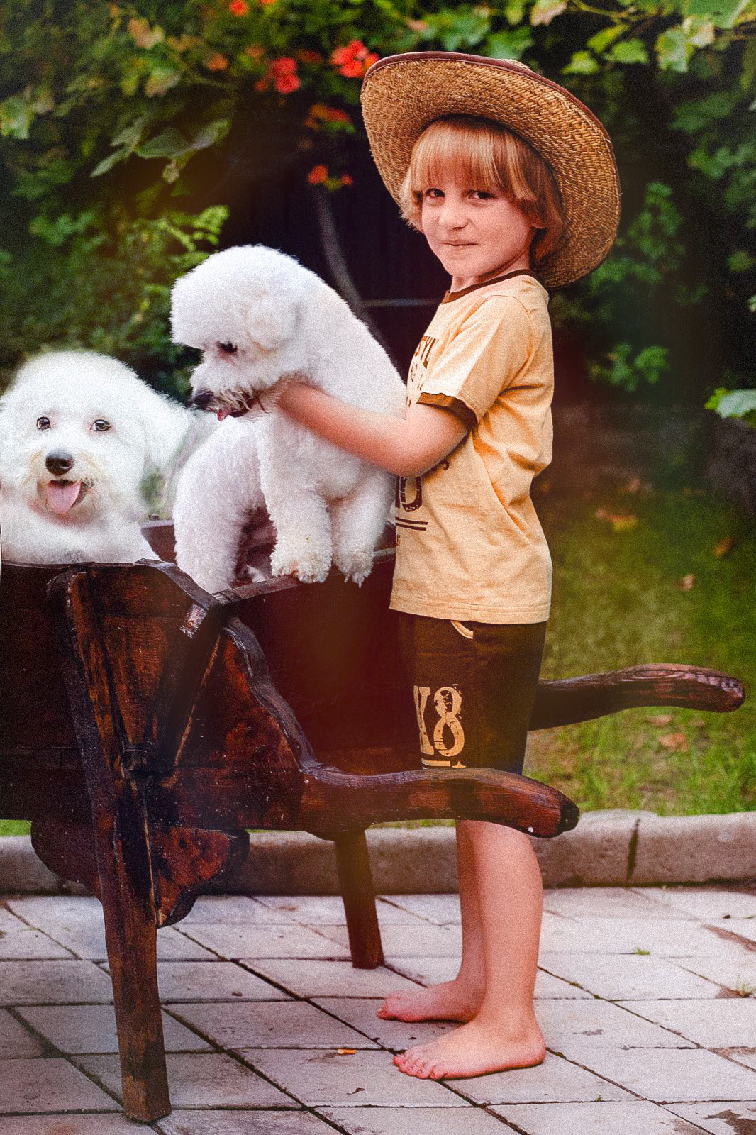 Animal photo shoot. Фотограф в Запоріжжі та Європі