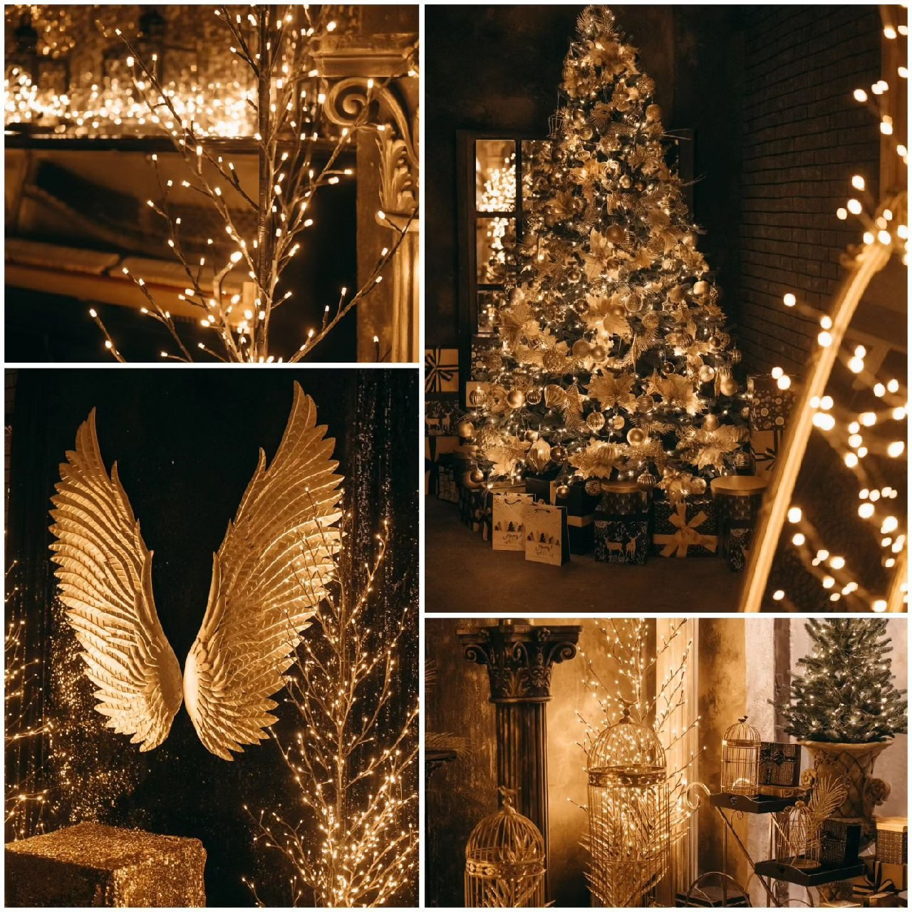 Фотостудии Одессы. Фотограф в Одессе, Киеве, Донецке Helena