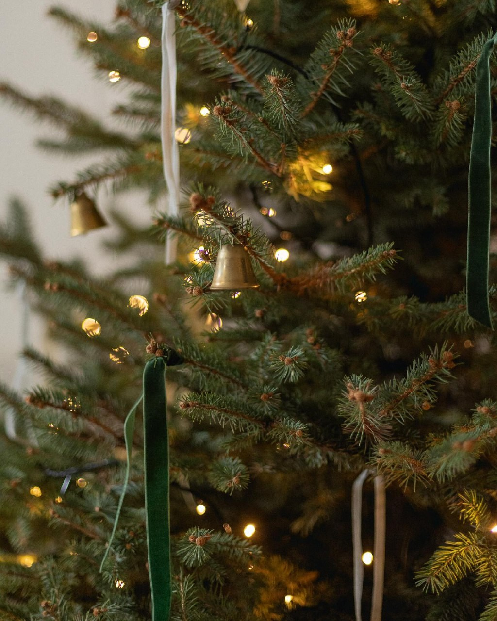 Фотостудии Одессы. Фотограф в Одессе, Киеве, Донецке Helena