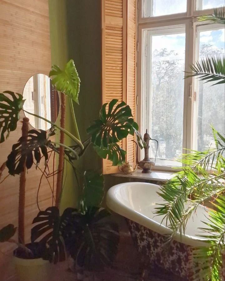 Фотостудии Одессы. Фотограф в Одессе, Киеве, Донецке Helena