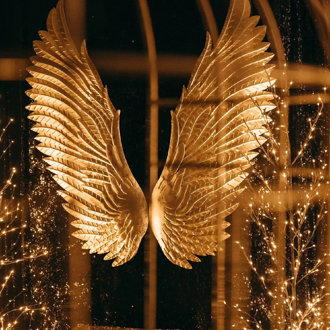 Фотостудии Одессы. Фотограф в Одессе, Киеве, Донецке Helena