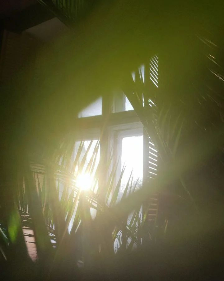 Фотостудии Одессы. Фотограф в Одессе, Киеве, Донецке Helena