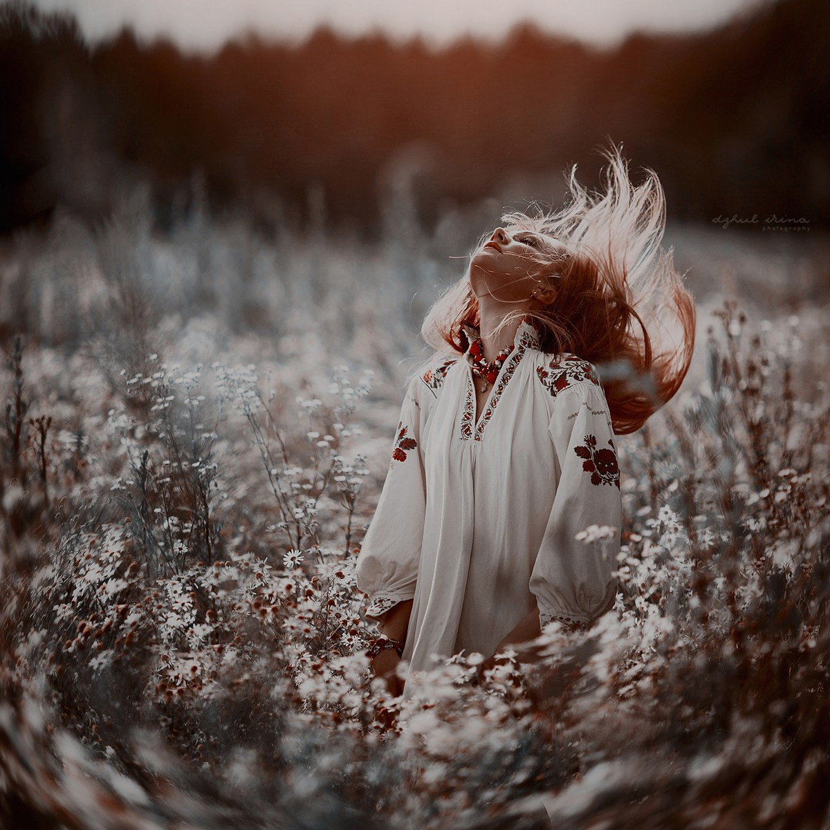 CHAMOMILE. Art photographer in Amsterdam, the Netherlands Irina Dzhul