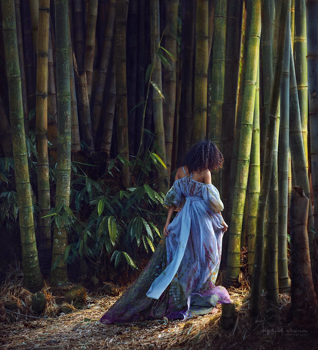 BAMBOO. Art photographer in Amsterdam, the Netherlands Irina Dzhul