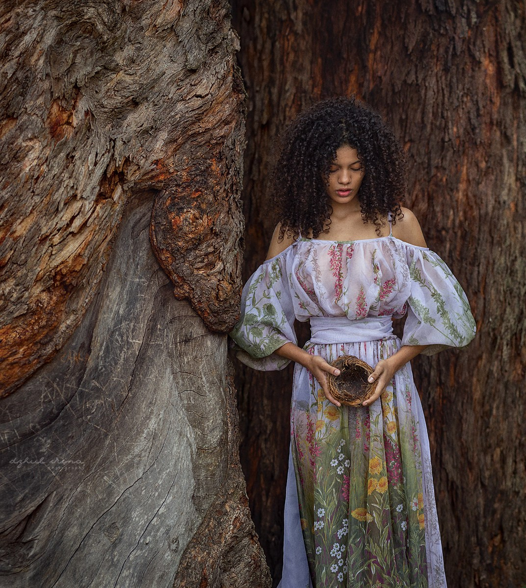 TREE BARK (1). Art photographer in Amsterdam, the Netherlands Irina Dzhul