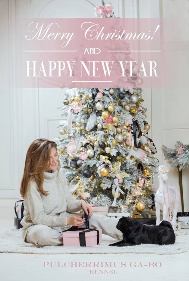 Новорічна пропозиція. Фотограф Катерина Мумжинська