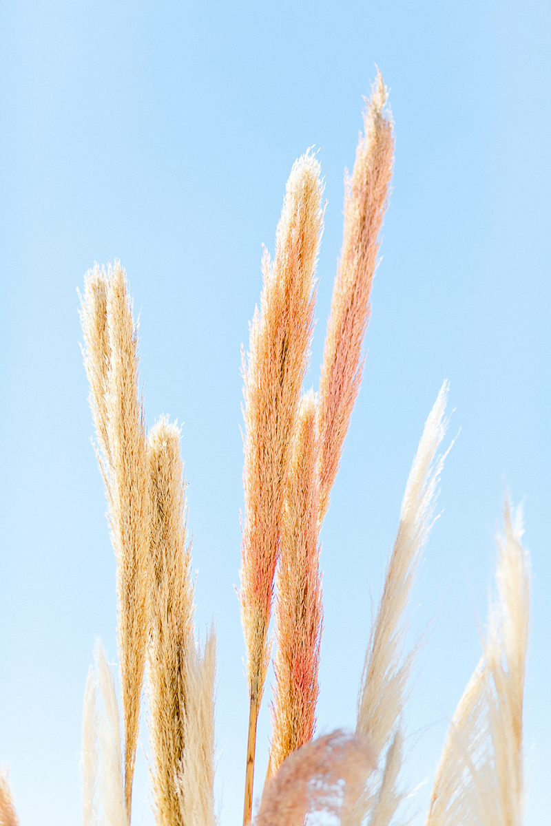 свадьба и фотограф в бенидорме, аликанте, алтее