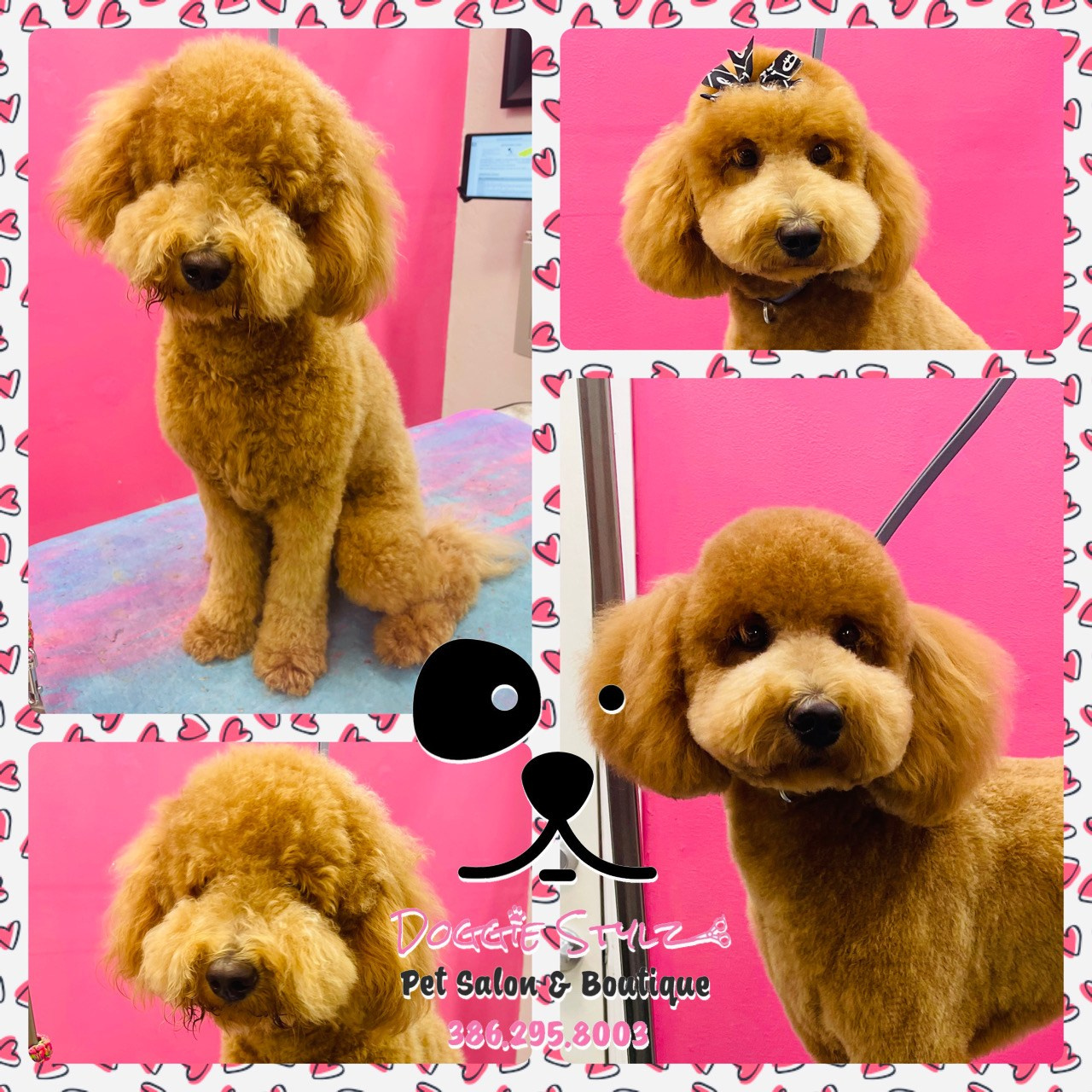 DOG GROOMING. Doggie Stylz Pet Salon