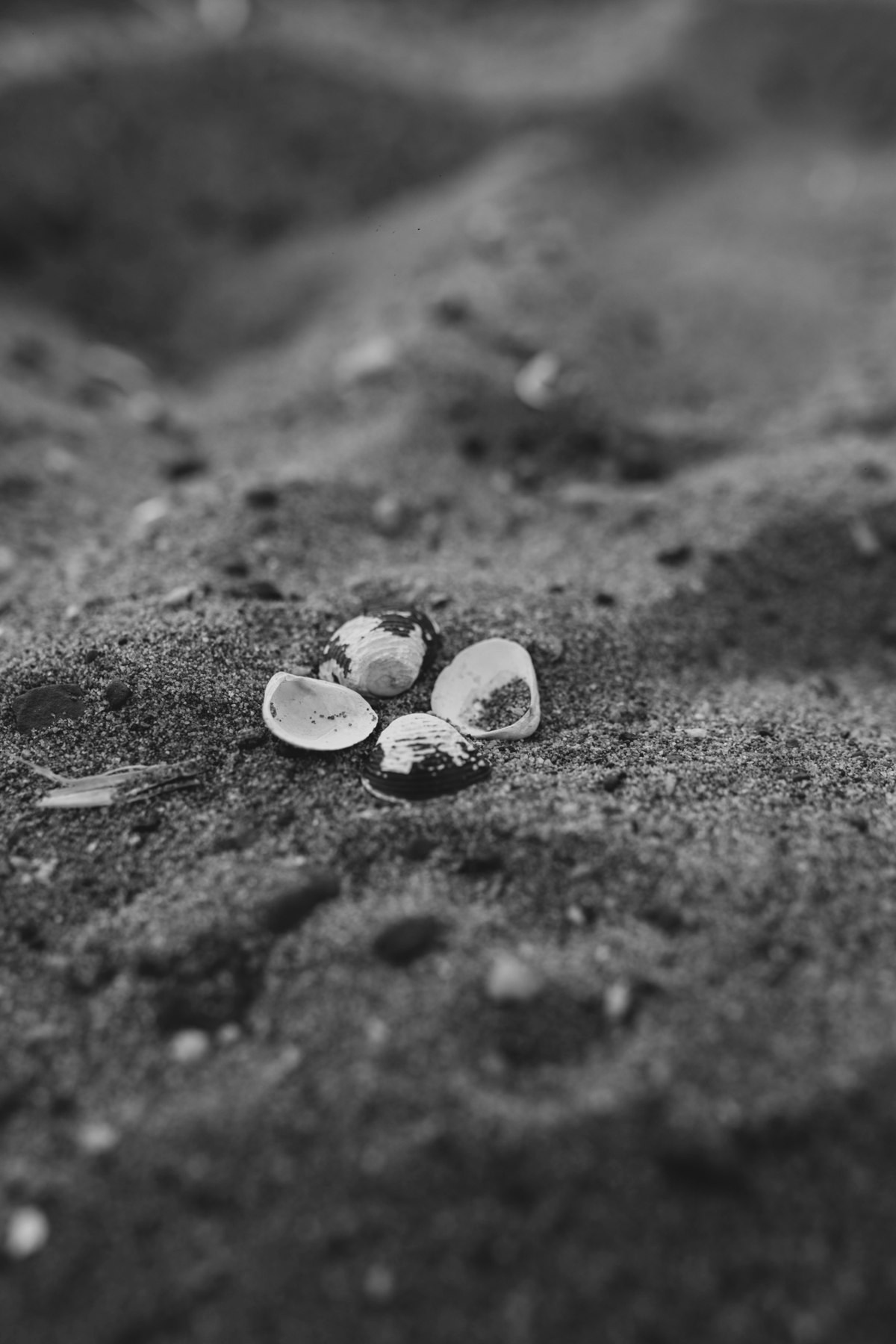 Ensaio Fotógrafico Casal Pré Wedding Jana & Rafael. Fotógrafo de Brasília | Vini Fotógrafo: Especialista em Casamentos, Ensaios e Eventos