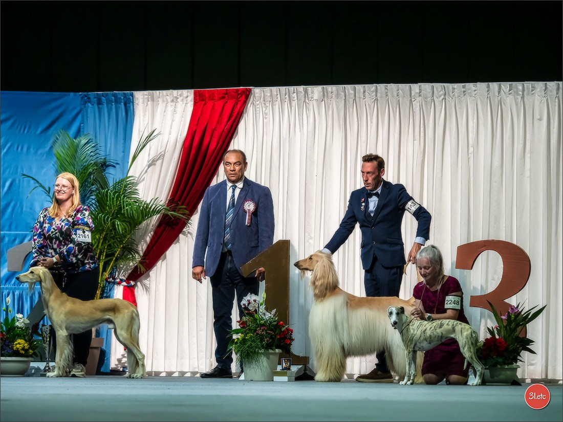 🇱🇺 LUXEMBOURG 🇱🇺 International Dog Show 🇱🇺 31/08 - 01/09/2024. Photographe à Strasbourg | Portraits, Studio, Enfants, Événements