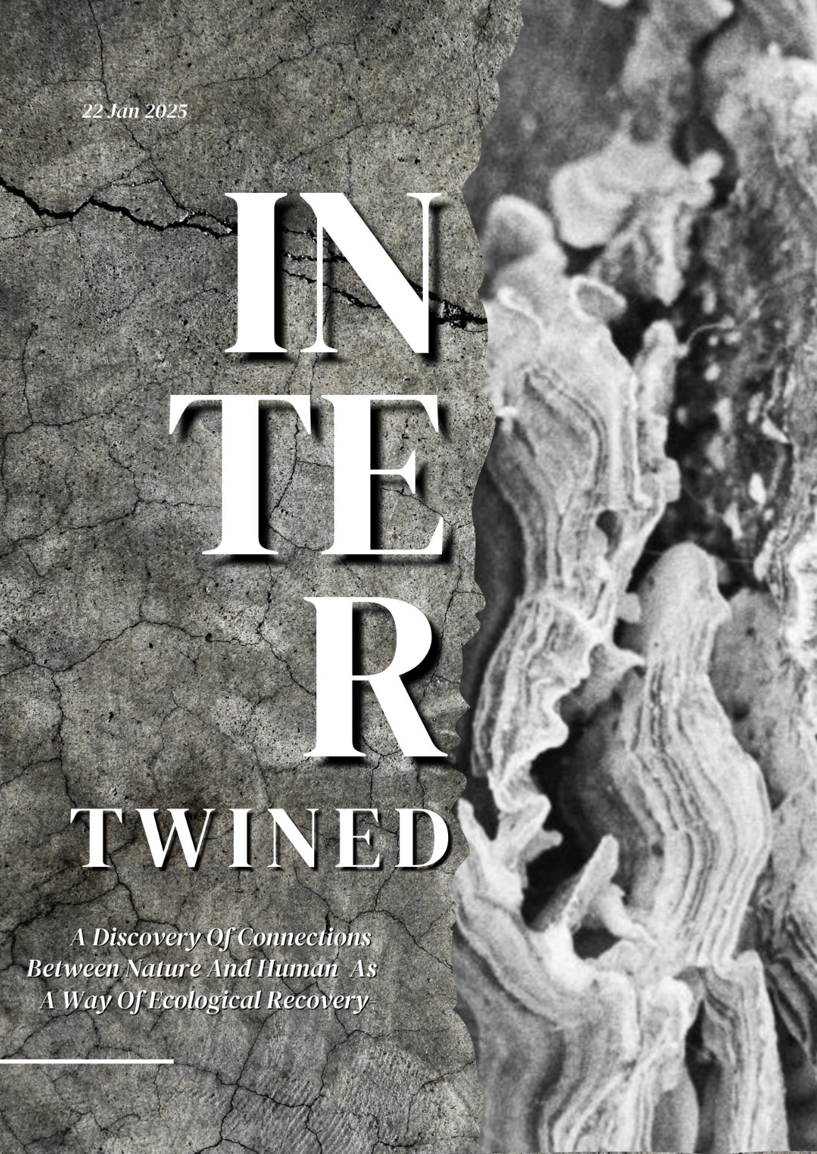 Intertwined. Dilyana Tankova