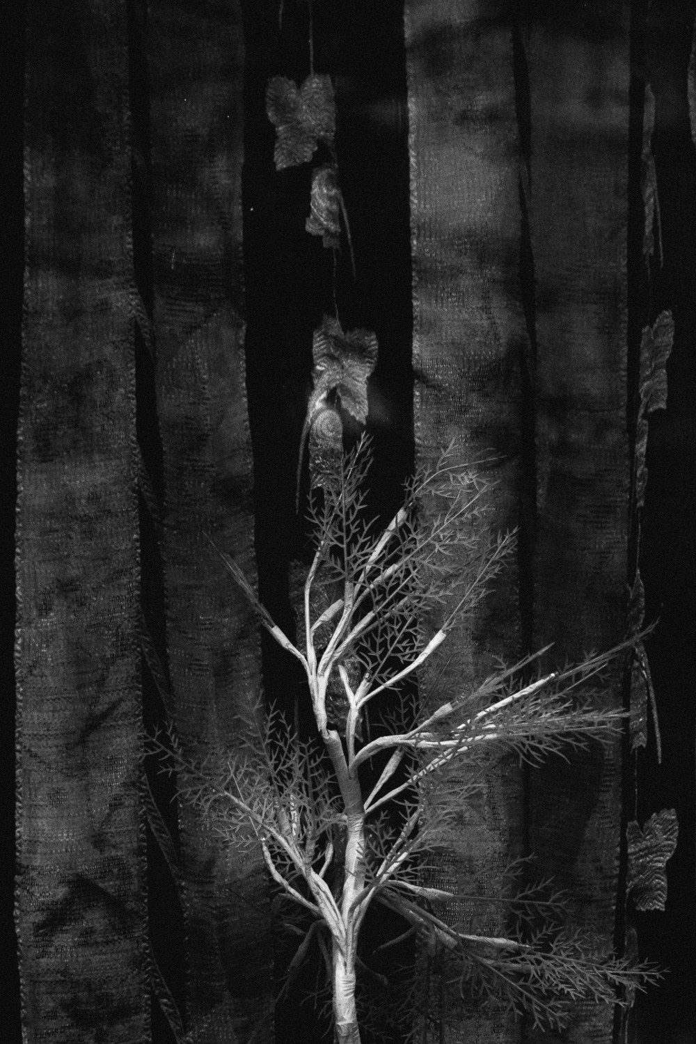 Олег Сатов, Санкт-Петербург. Photopolygon Mag