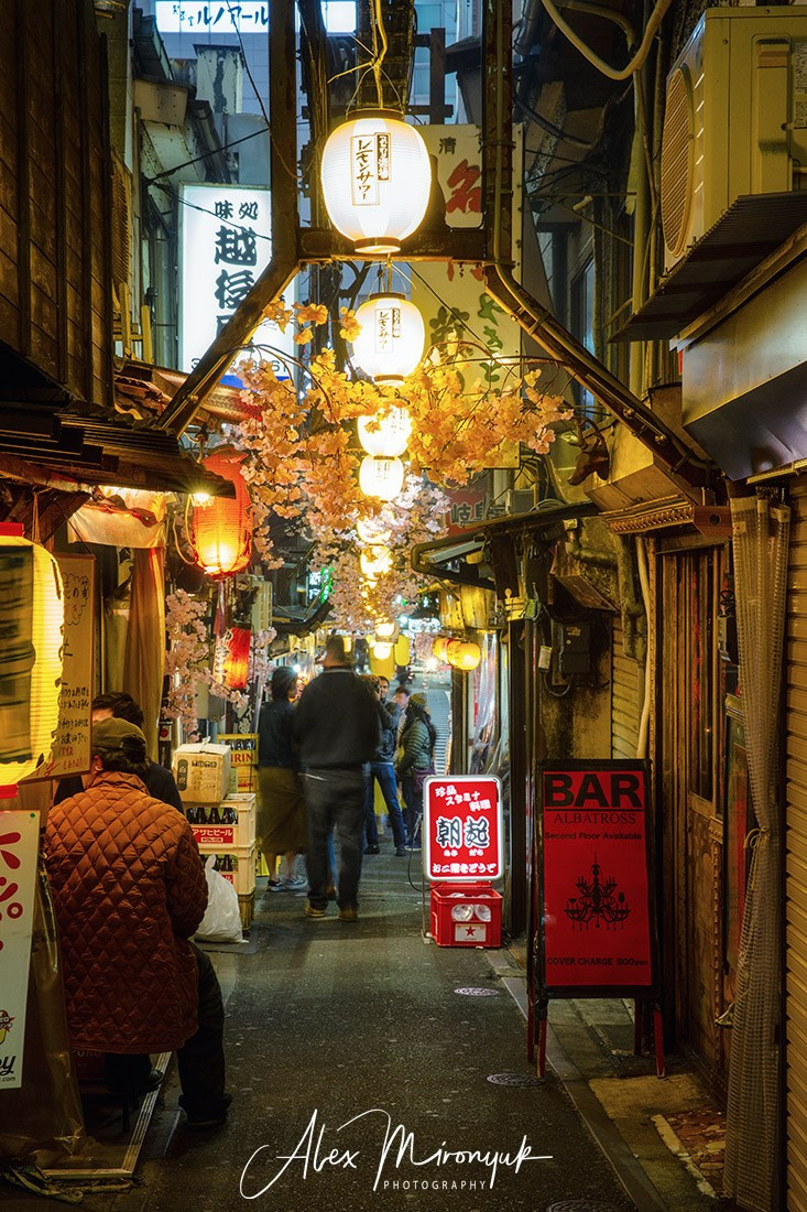 Autumn Colors of Japan. Pet, Senior, Landscape, portrait studio, photographer in Miami and Sou