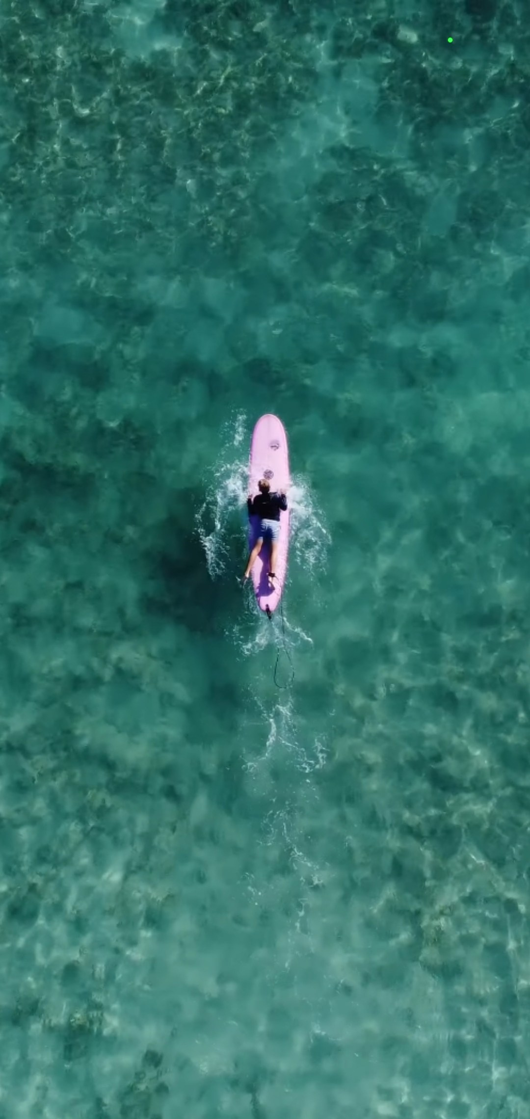 Home. Out and About 239