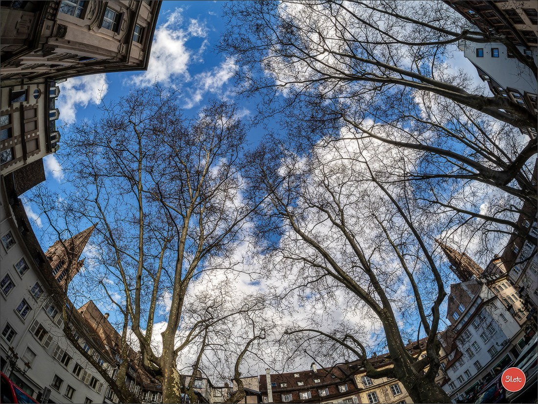 A little spherical Strasbourg. Photographe à Strasbourg | Portraits, Studio, Enfants, Événements
