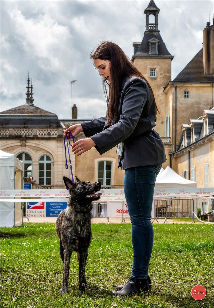 Exposition Canine Nationale  05/05/2024  CHALON-SUR-SAÔNE (Saône-et-Lo. Photographe à Strasbourg | Portraits, Studio, Enfants, Événements