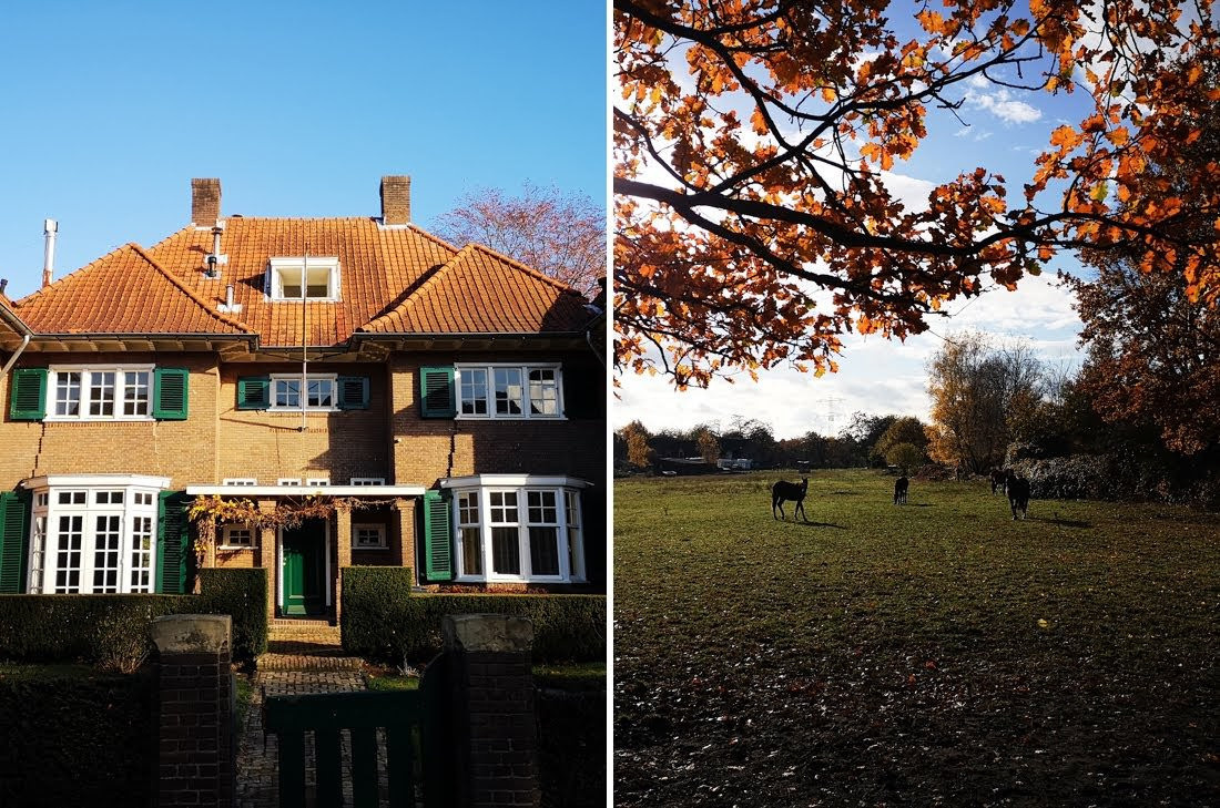 Ar velosipēdiem pa Eidhovenu