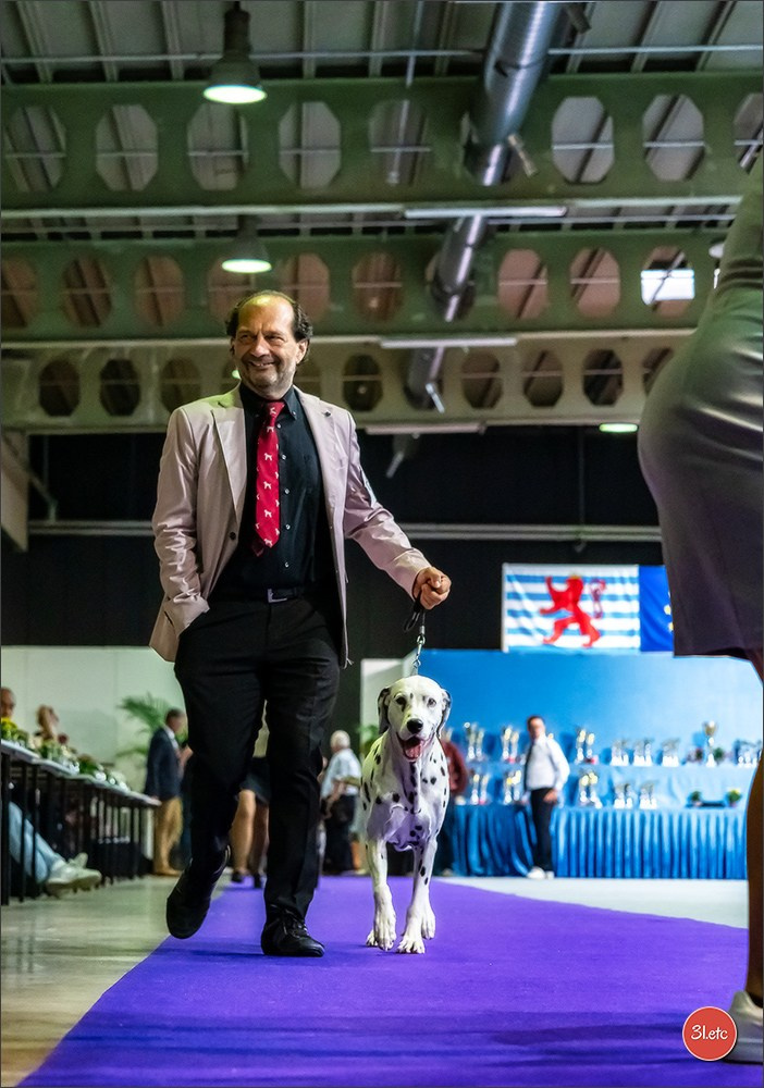 🇱🇺 LUXEMBOURG 🇱🇺 International Dog Show 🇱🇺 31/08 - 01/09/2024. Photographe à Strasbourg | Portraits, Studio, Enfants, Événements