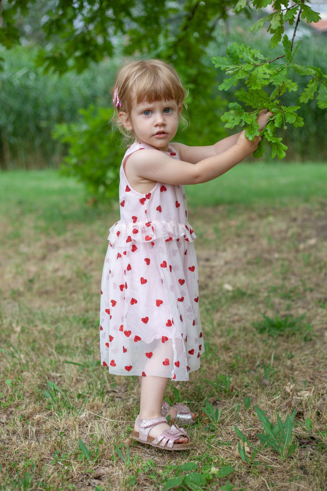 Porodica Komarek. Miroslav Lukić, fotograf za vaše važne trenutke