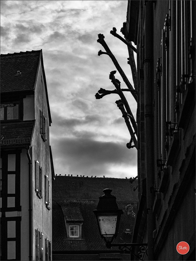 Se promener dans Strasbourg. Photographe à Strasbourg | Portraits, Studio, Enfants, Événements