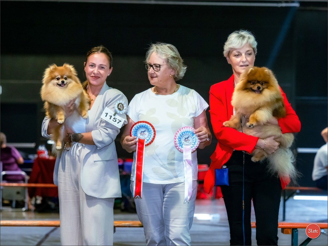 🇱🇺 LUXEMBOURG 🇱🇺 International Dog Show 🇱🇺 31/08 - 01/09/2024. Photographe à Strasbourg | Portraits, Studio, Enfants, Événements