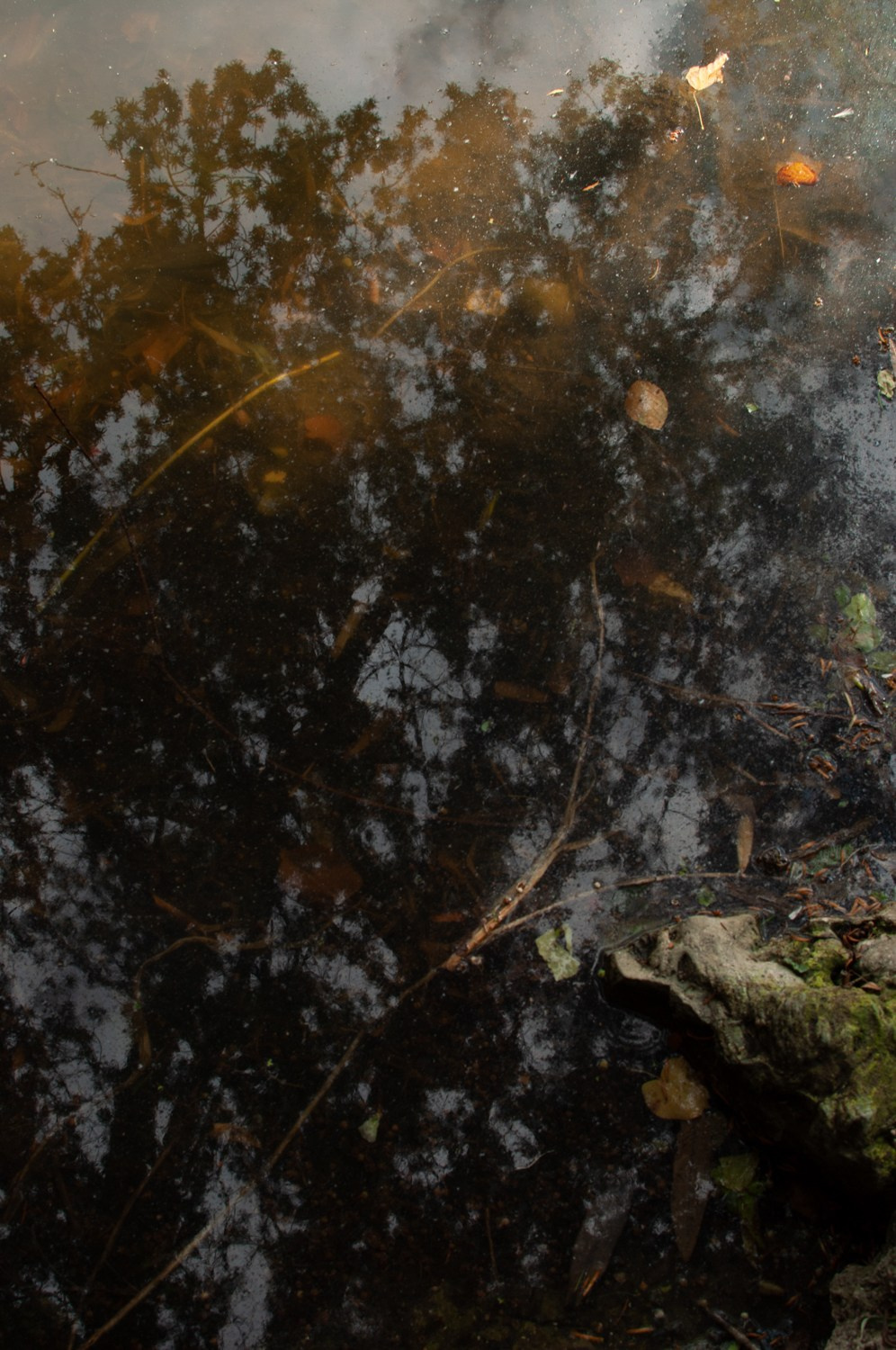 Forgiving. Mayya Kelova artist