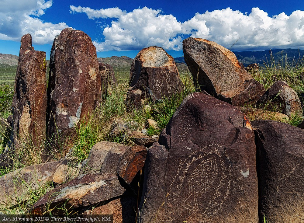 The Best of New Mexico. Pet, Senior, Landscape, portrait studio, photographer in Miami and Sou