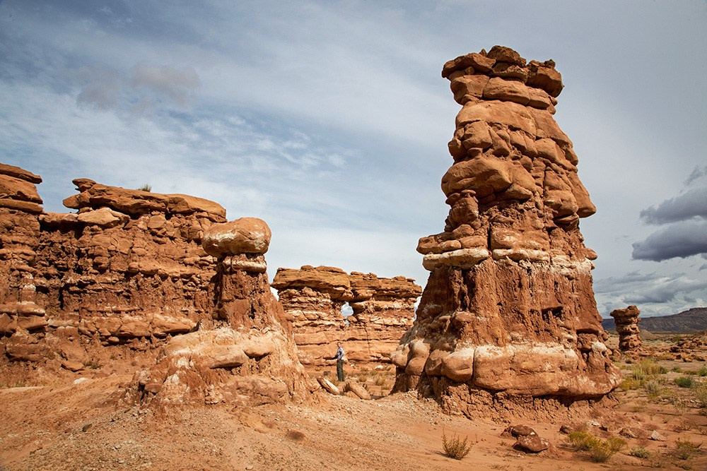 Eagle’s View American Southwest. Pet, Senior, Landscape, portrait studio, photographer in Miami and Sou