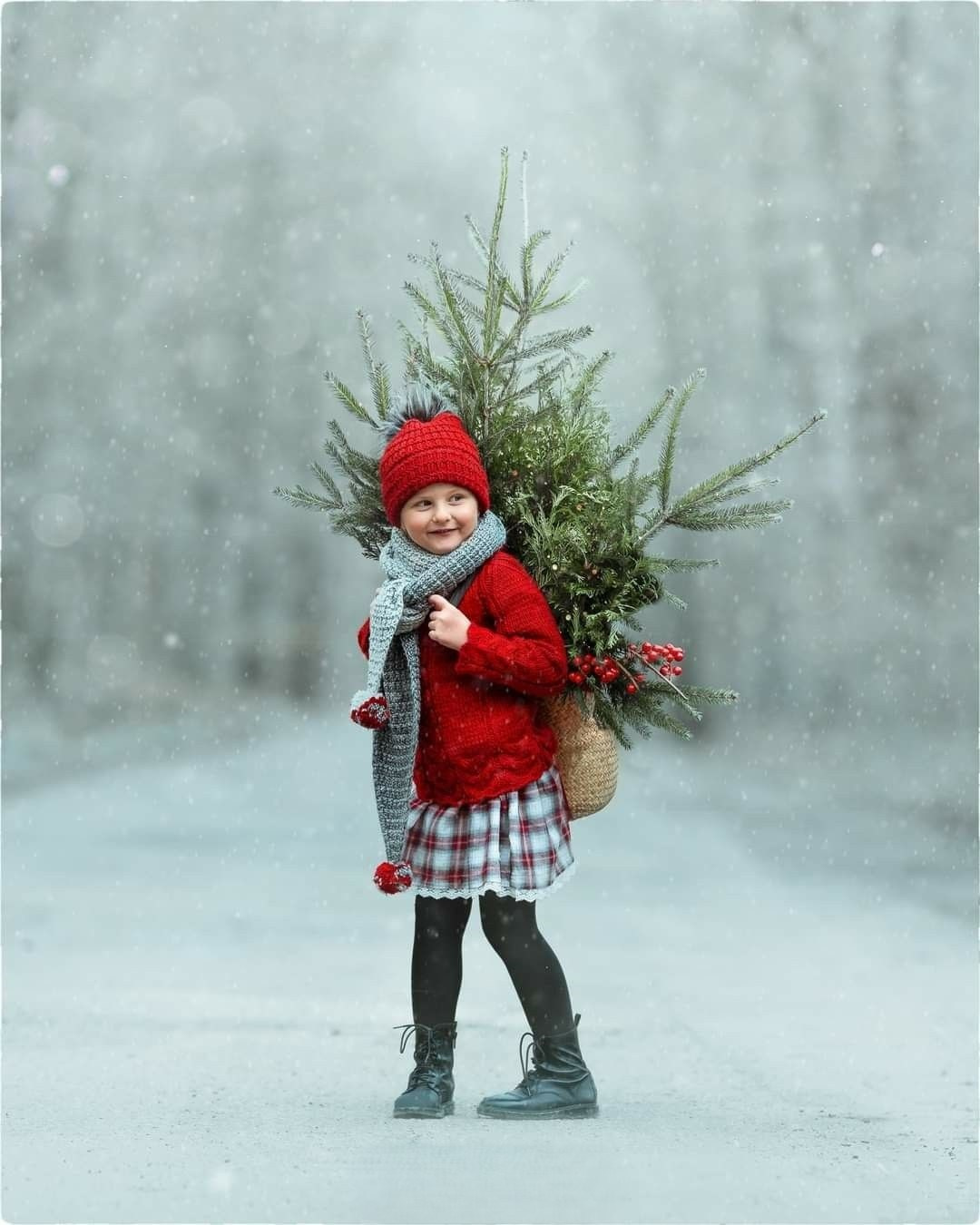 Fotógrafo de bodas, quince años, familias y fotografía infantil en Mérida Yucatán Alberto Rodriguez