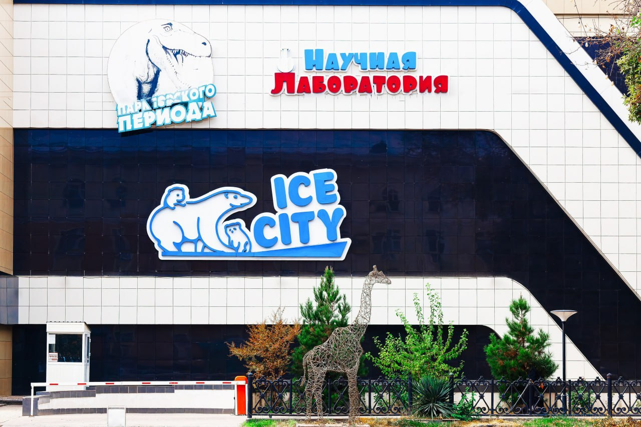 Посуточная аренда апартаментов в Ташкенте — комфорт и удобство. Аренда апартаментов Ташкент Узбекистан