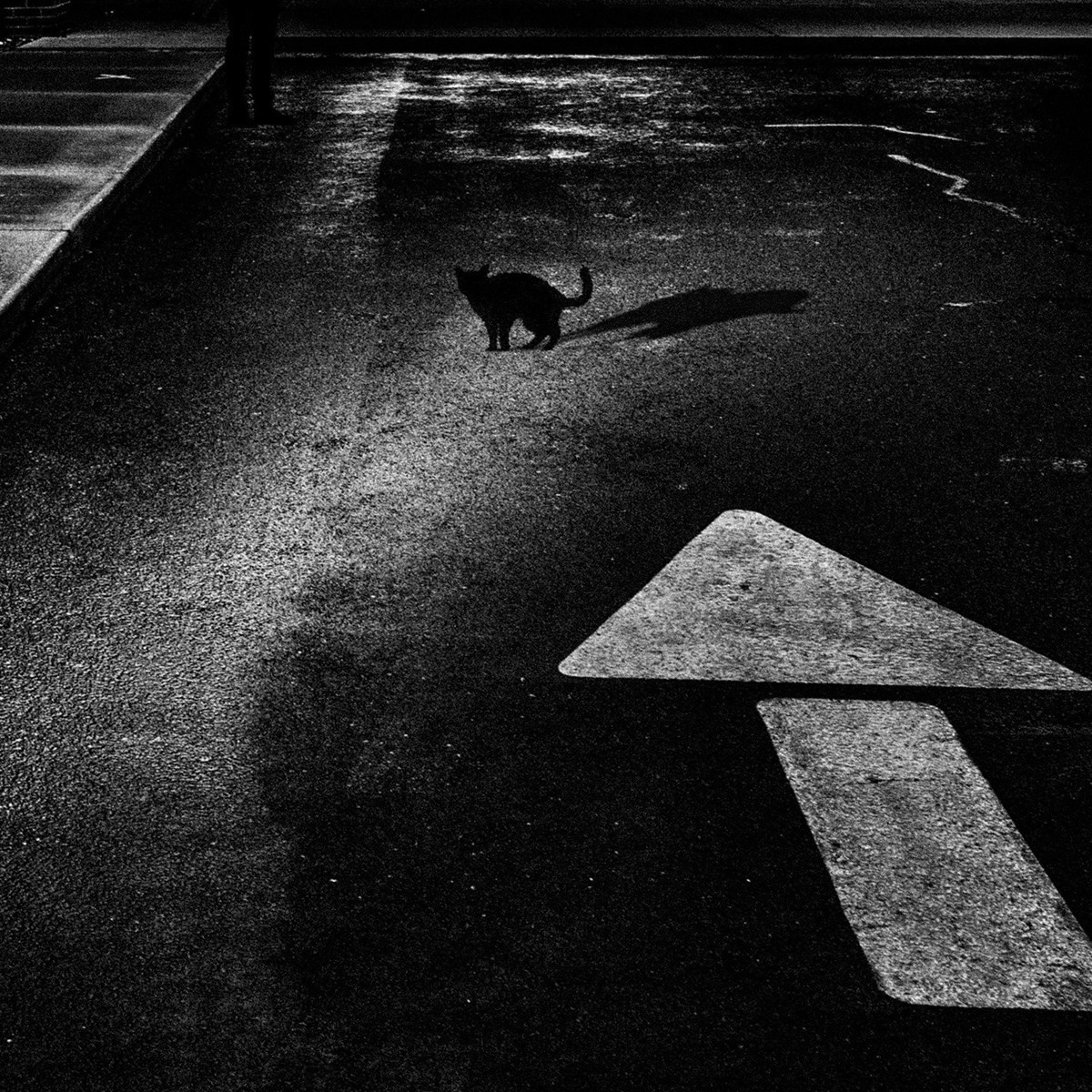 Project 12 Weeks Around the Hospital. Helen McLain Photography