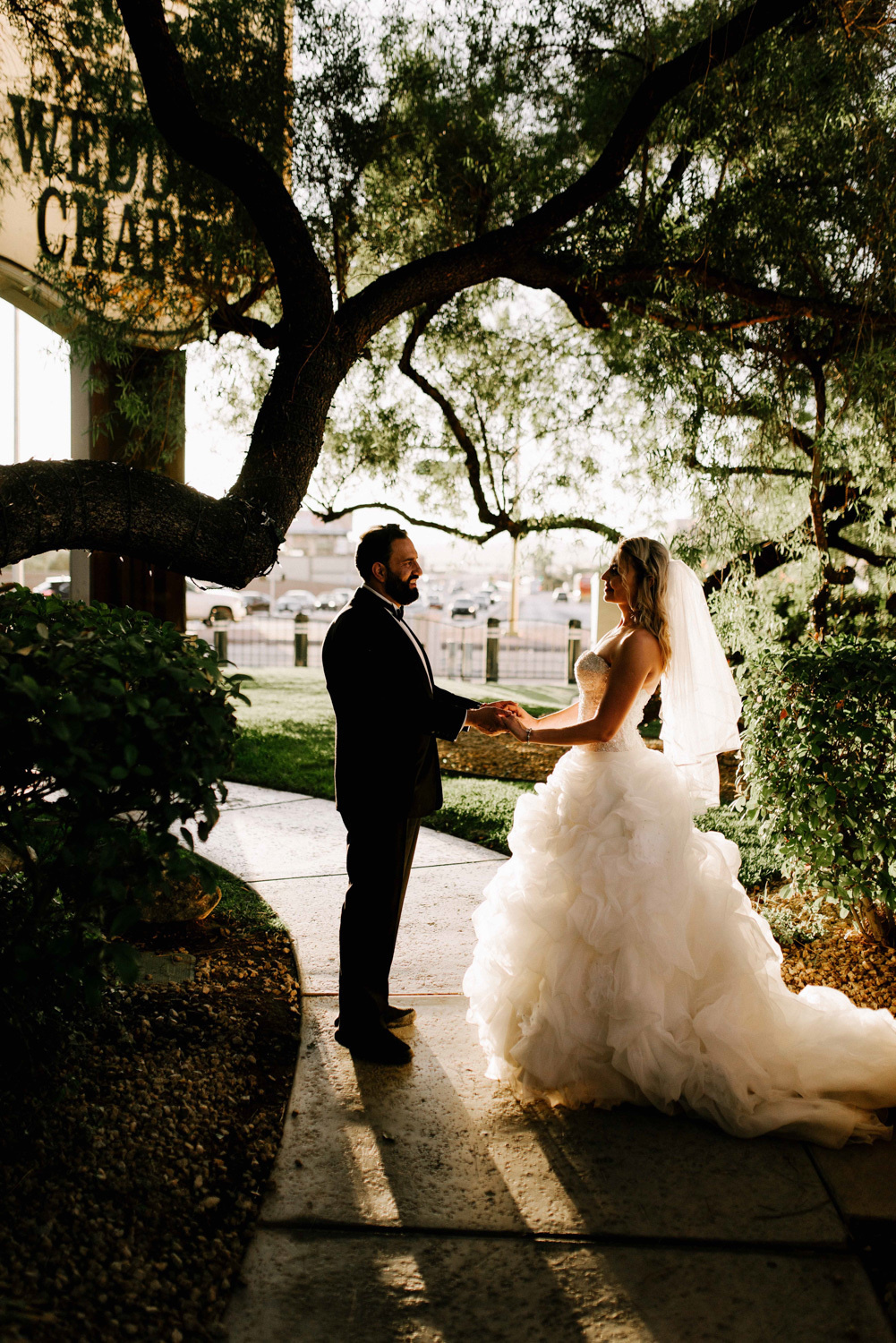 The bride and groom are standing under a tree, holding each other's hands.