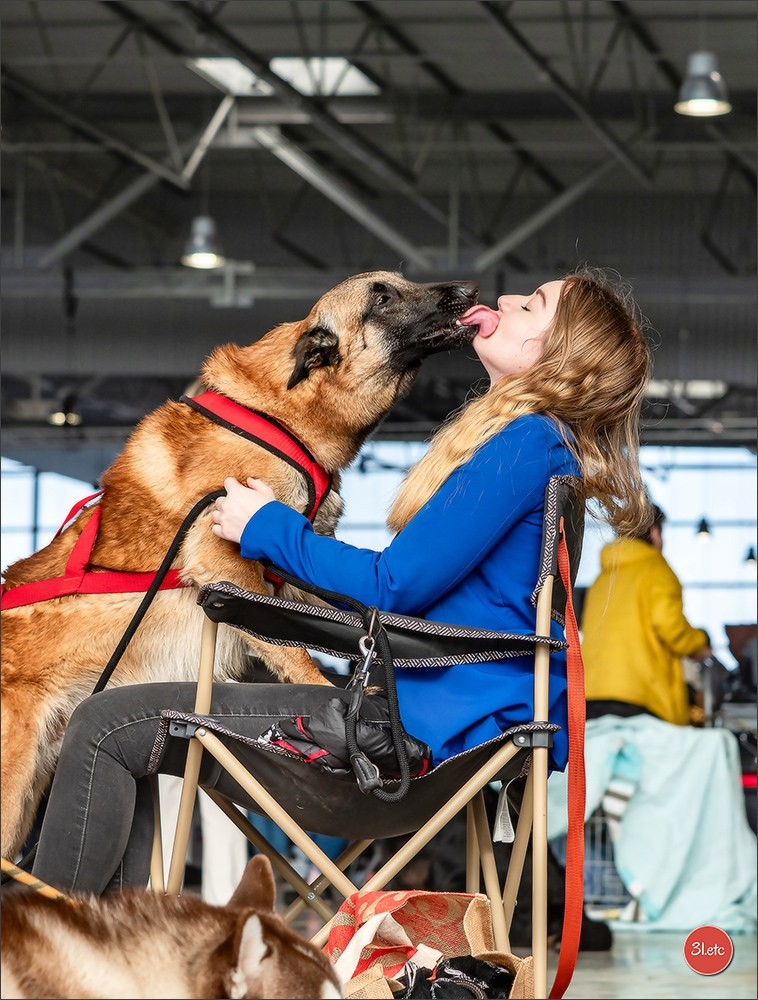 Expo canine 🇫🇷 Châlons-en-Champagne 22-23/02/2025. Photographe à Strasbourg | Portraits, Studio, Enfants, Événements