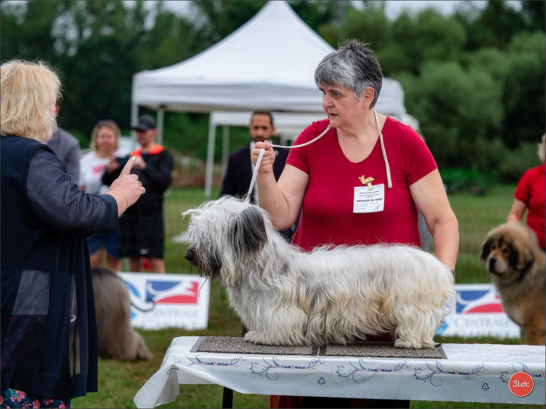 Exposition Canine à STRASBOURG-HOERDT Dimanche 18 août 2024. Photographe à Strasbourg | Portraits, Studio, Enfants, Événements