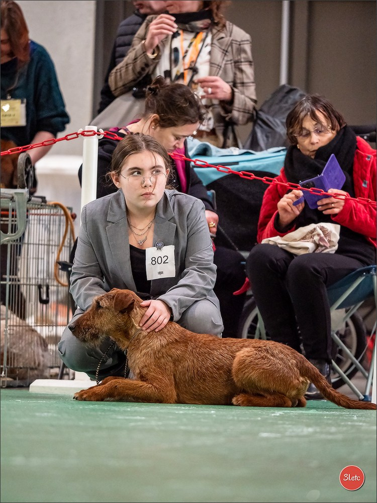 Expo canine 🇫🇷 Châlons-en-Champagne 22-23/02/2025. Photographe à Strasbourg | Portraits, Studio, Enfants, Événements