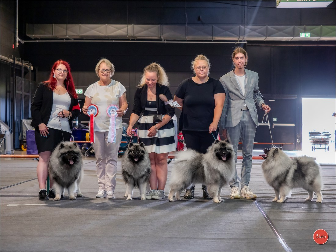 🇱🇺 LUXEMBOURG 🇱🇺 International Dog Show 🇱🇺 31/08 - 01/09/2024. Photographe à Strasbourg | Portraits, Studio, Enfants, Événements