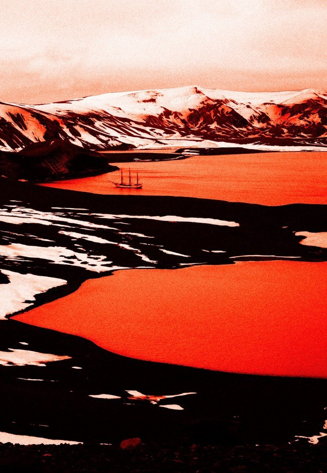 FEVER. Paulina Zhur — Visual Artist