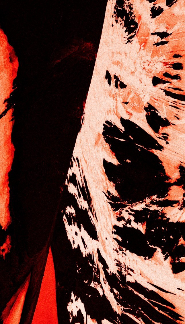 FEVER. Paulina Zhur — Visual Artist